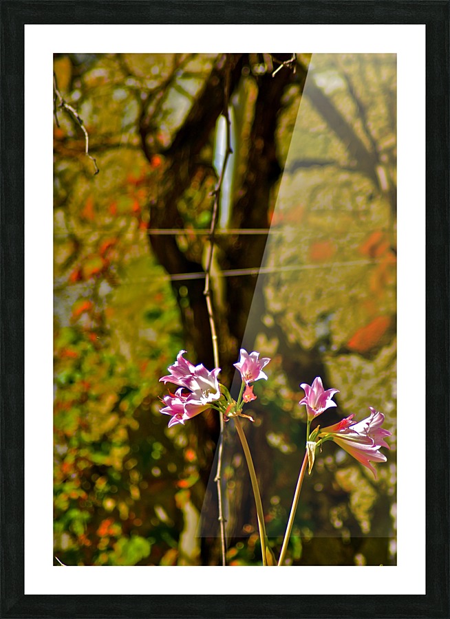 Pleasant  Picture Frame print