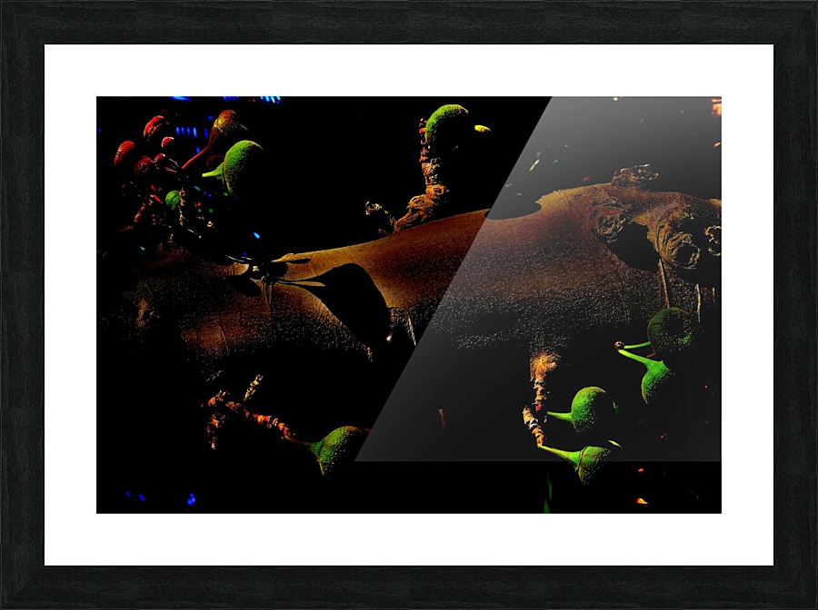 Unique  Picture Frame print