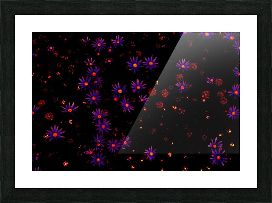 Twinkle   Picture Frame print