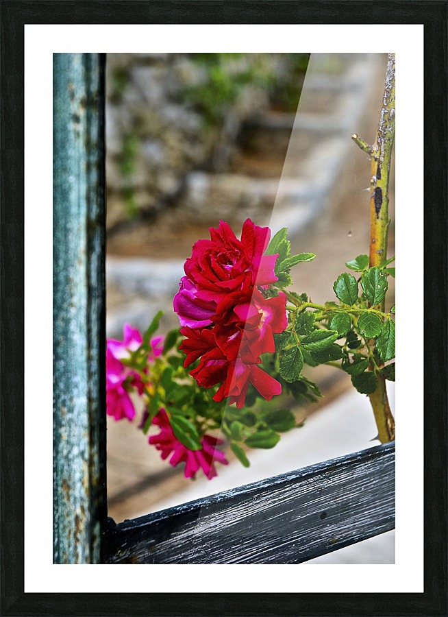 Windowless Picture Frame print