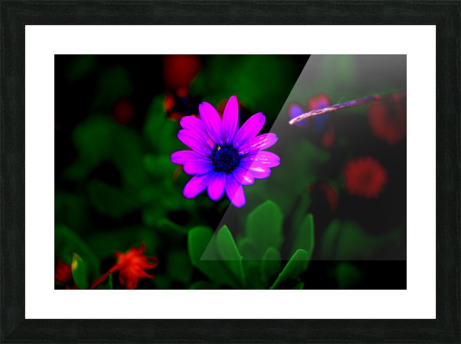 Floating Picture Frame print