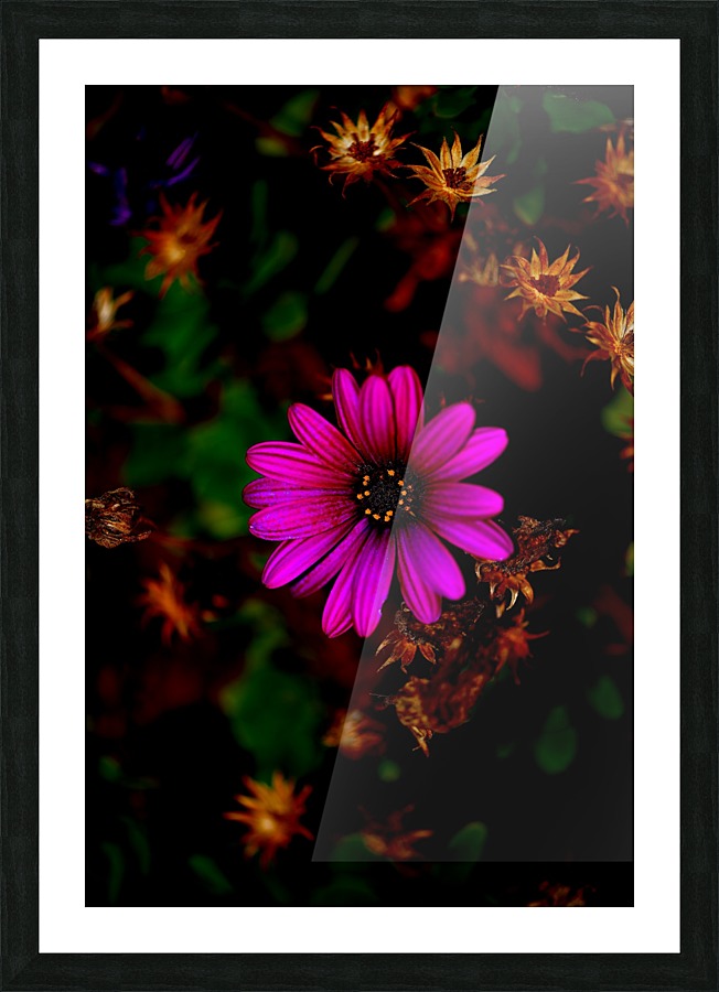 Warmth Picture Frame print