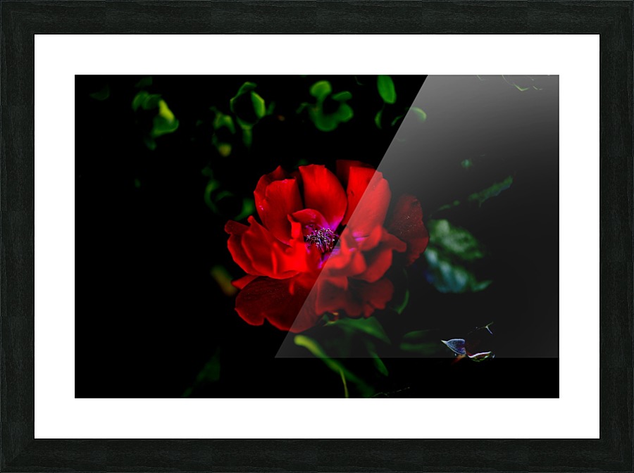 Cuddle Picture Frame print
