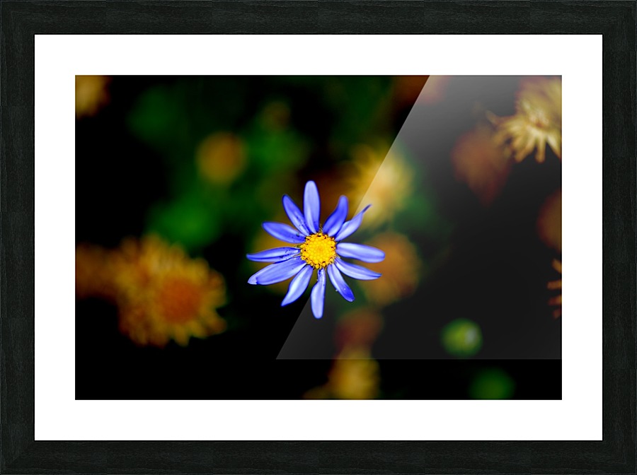 Fall Picture Frame print