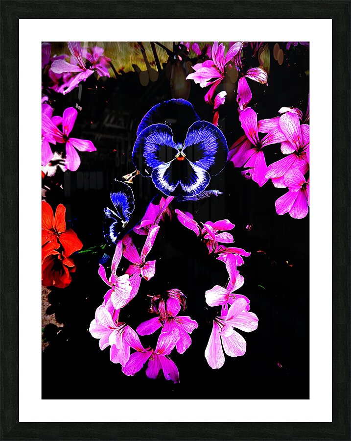 Wild life Picture Frame print