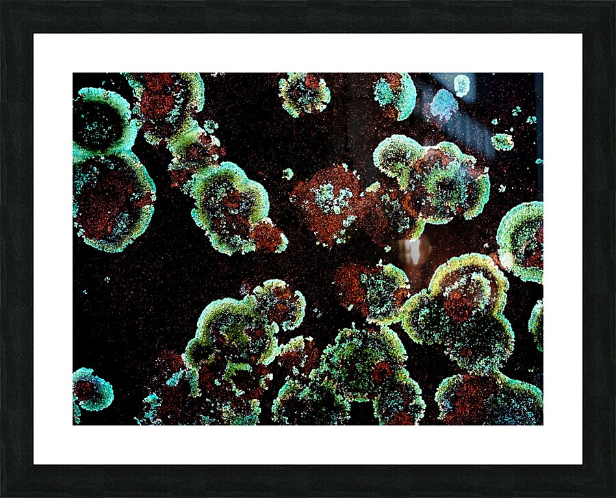 Lumi Picture Frame print