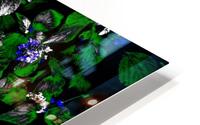 Contrast HD Metal print