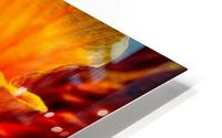 Silk HD Metal print