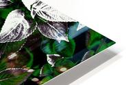 Silver HD Metal print