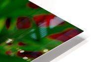 Pods HD Metal print