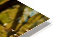 Pleasant  HD Metal print