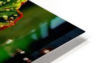 Voila HD Metal print