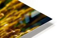 Show Off HD Metal print