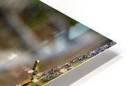 Windowless HD Metal print