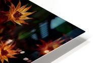 Warmth HD Metal print