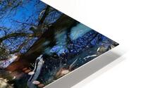Reflextion HD Metal print