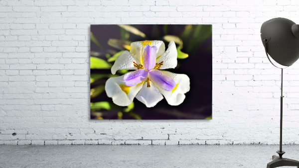Good Morning Wall Preview