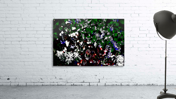 Contrast Wall Preview