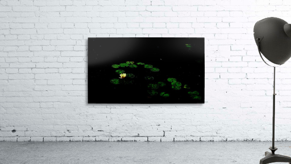Floating Wall Preview
