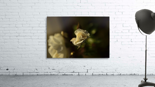 For You Wall Preview