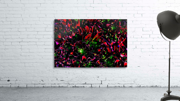Playful Wall Preview