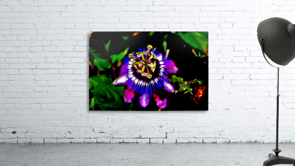 Crown Wall Preview