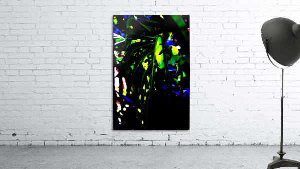Color Wall Preview