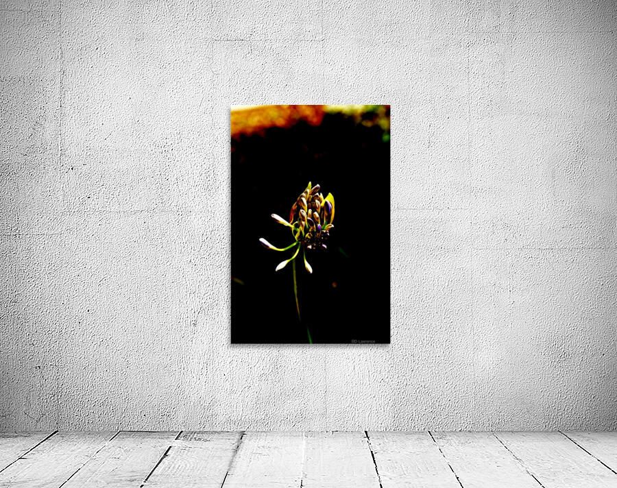 Blossom  Wall Preview