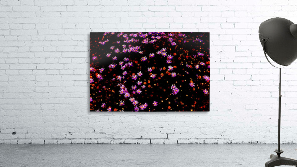 Starlight  Wall Preview