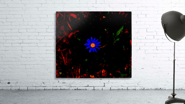 Center Stage Wall Preview