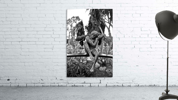 Poser Wall Preview