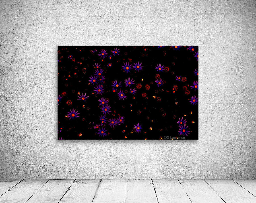 Twinkle   Wall Preview