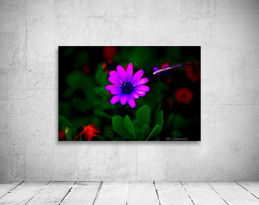 Floating Wall Preview