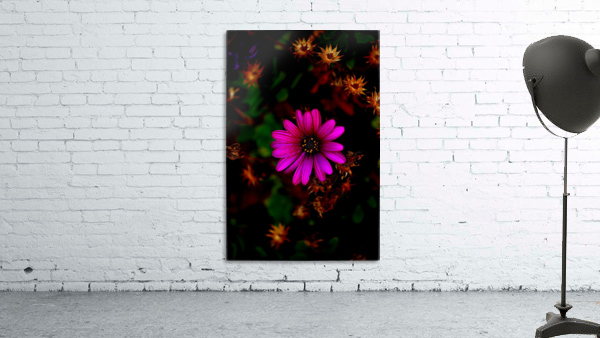 Warmth Wall Preview