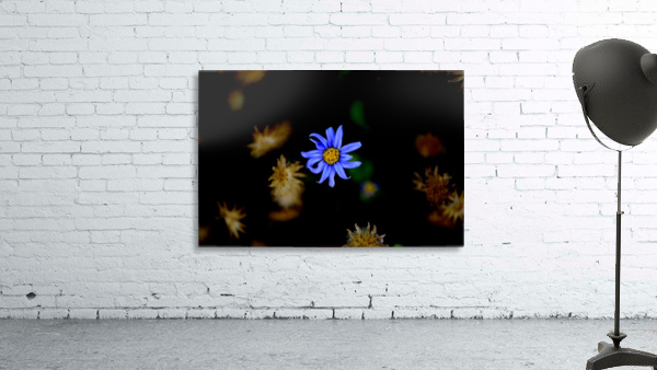 Frozen Wall Preview