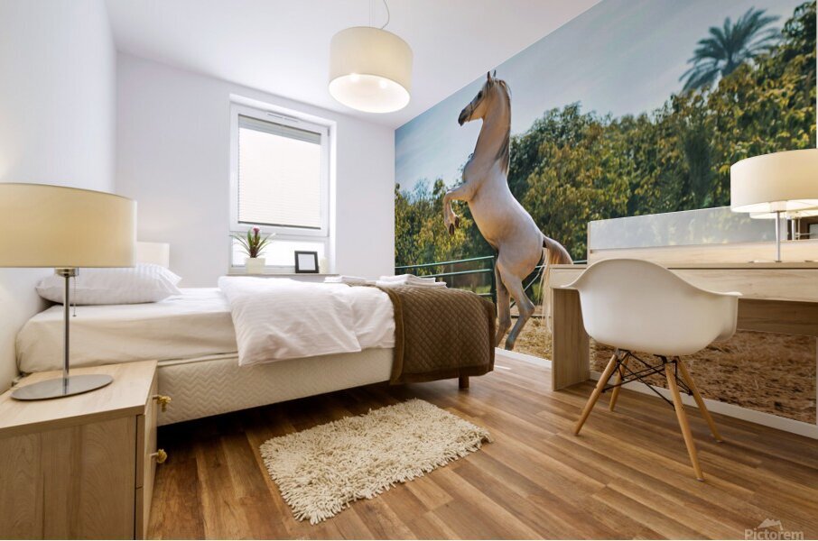 white horse enh 1 Mural print