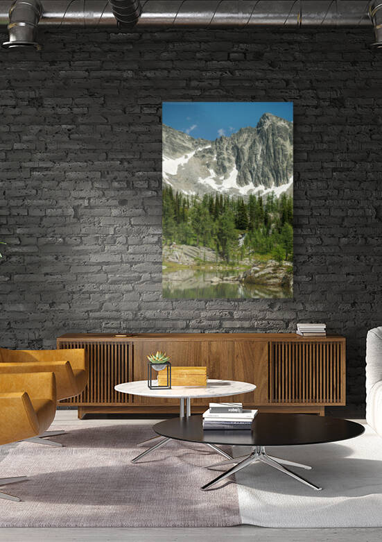 Monica Meadows Peaks by LuxLabonte Photography