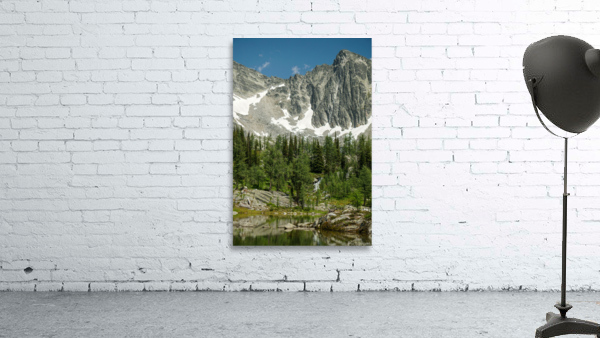 Monica Meadows Peaks Wall Preview
