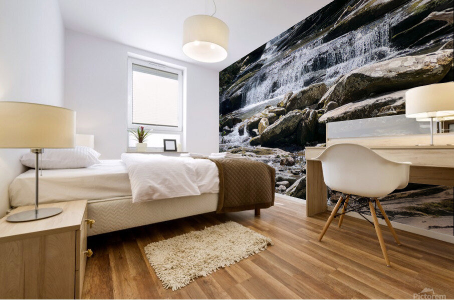 Waterfall Mural print