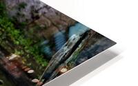 Pelican Hangout HD Metal print