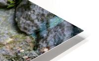 Groundhog HD Metal print