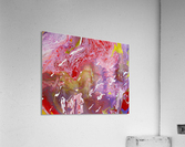 Royal Acrylic Print