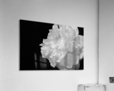 Stigma Acrylic Print