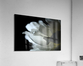 Closer Acrylic Print