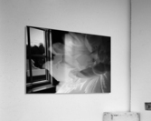 Shadow Acrylic Print