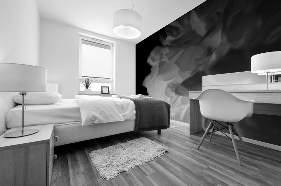 Shadow Mural print