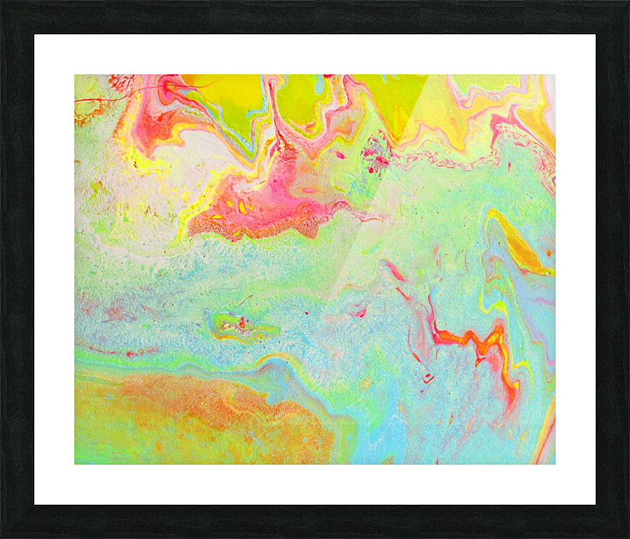 Ns 2 Picture Frame print