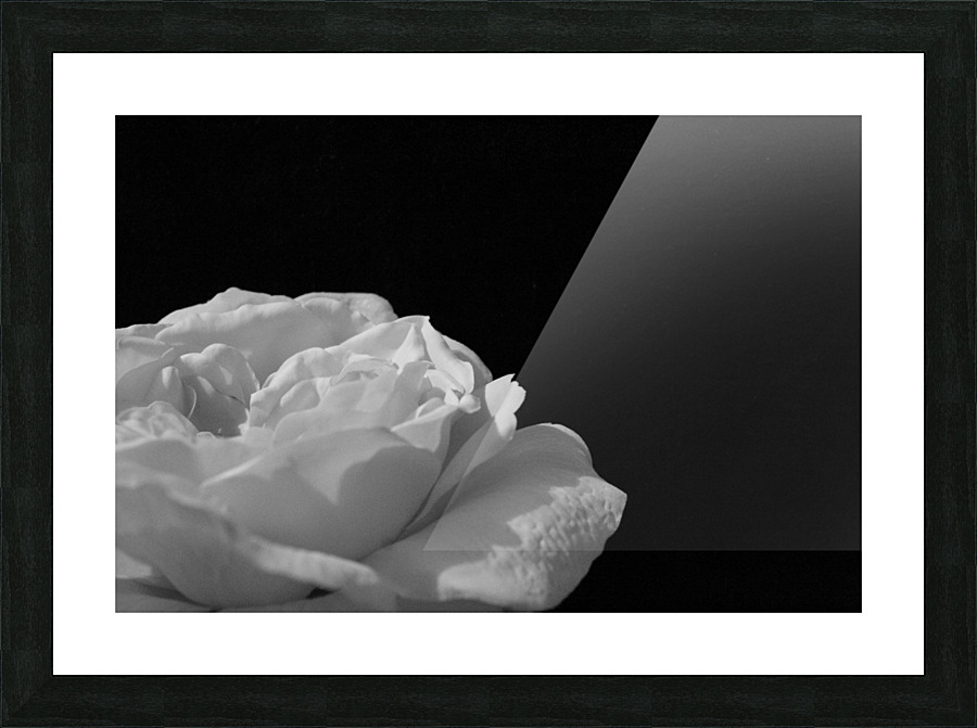 Still Picture Frame print