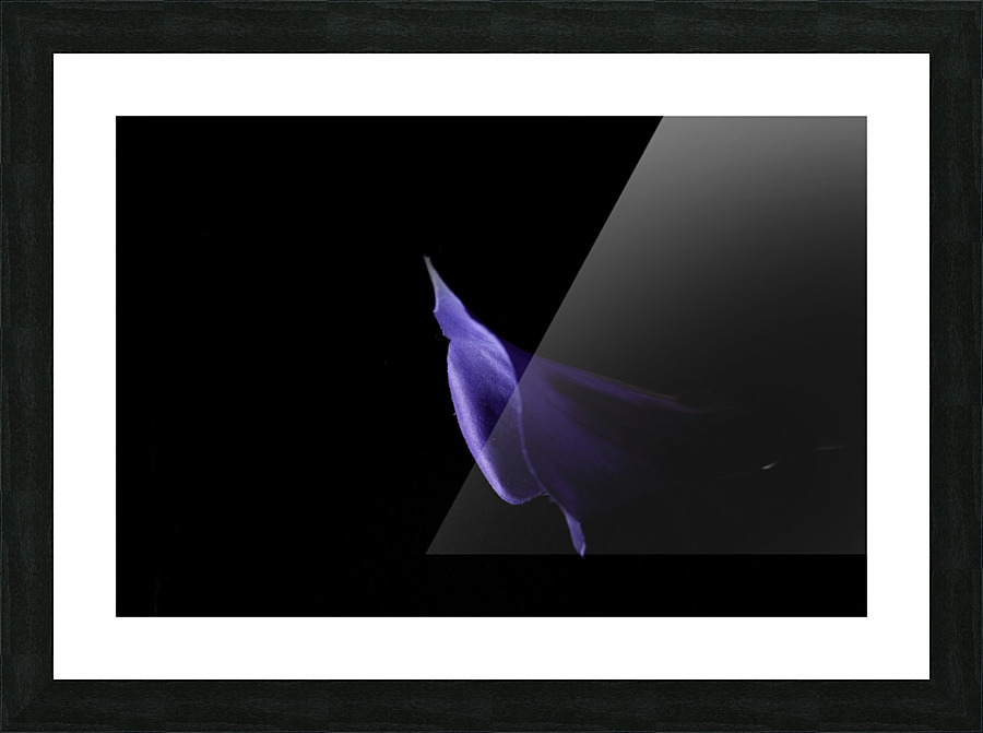Whisper Picture Frame print