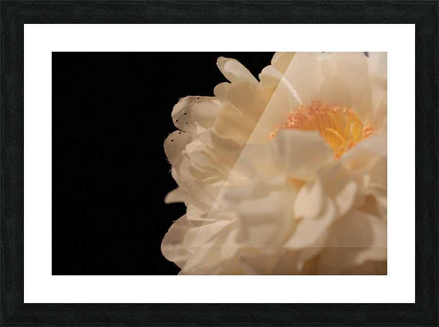 Anther Picture Frame print